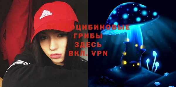 бошки Арсеньев