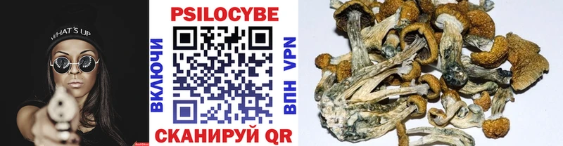 Псилоцибиновые грибы прущие грибы  Усинск 